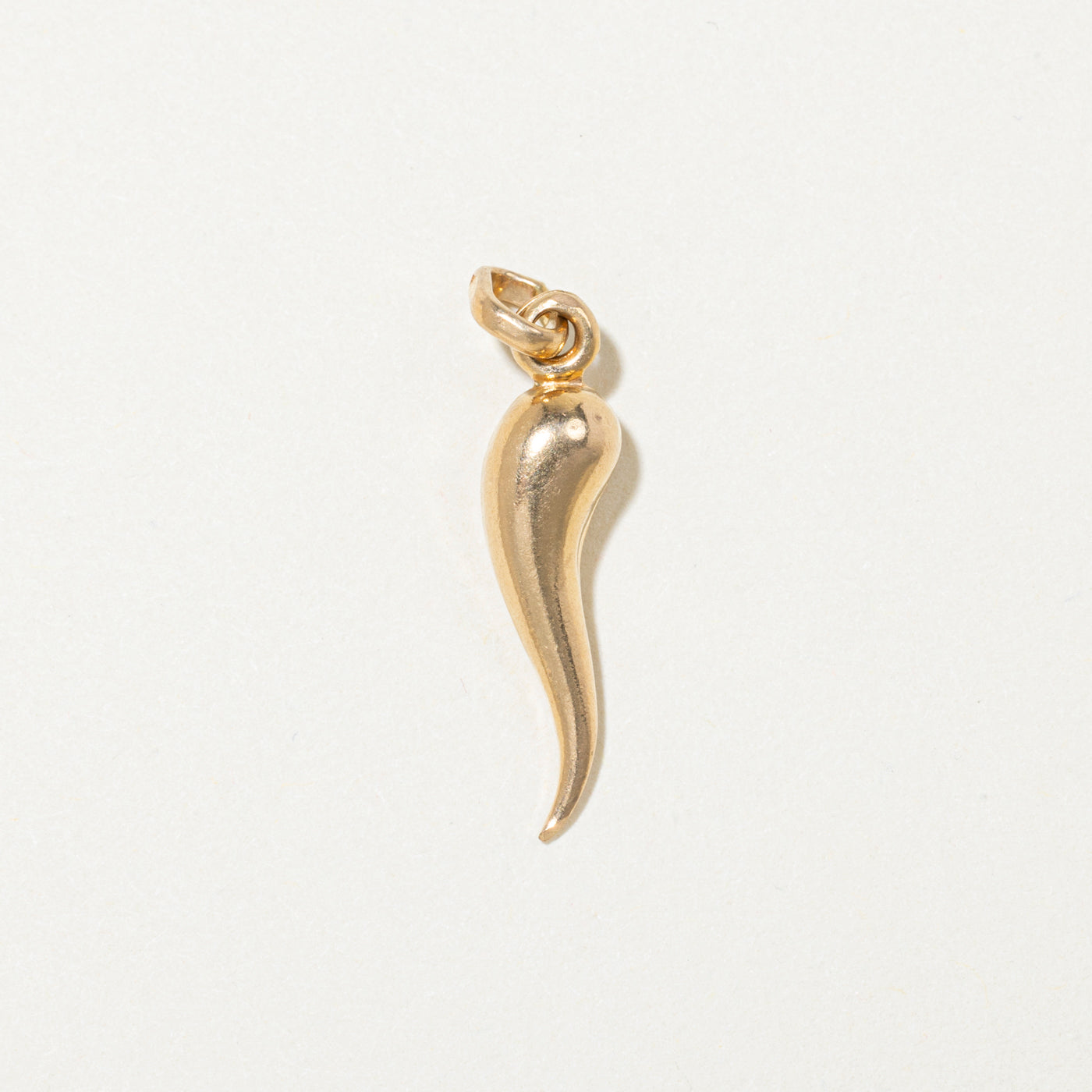 18k Yellow Gold Cornicello Charm
