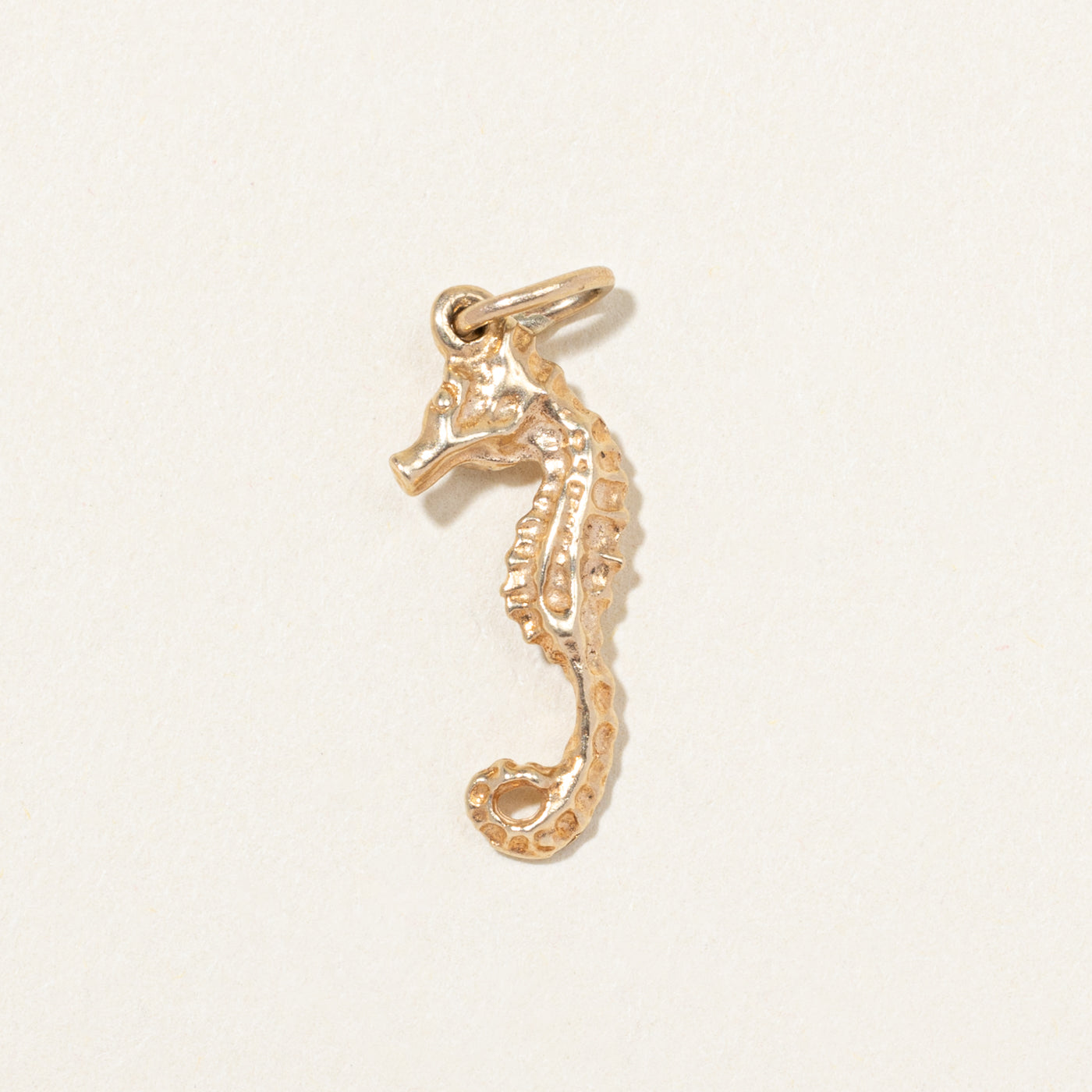 10k Yellow Gold Seahorse Charm
