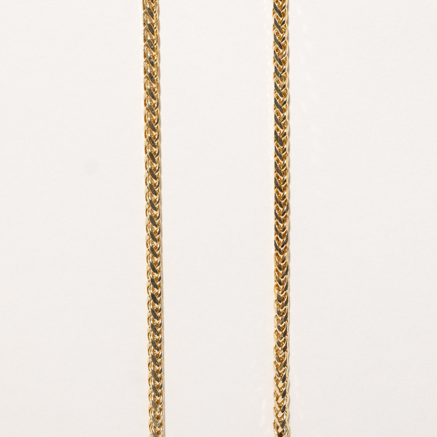 10k Yellow Gold Foxtail Chain | 22.25"
