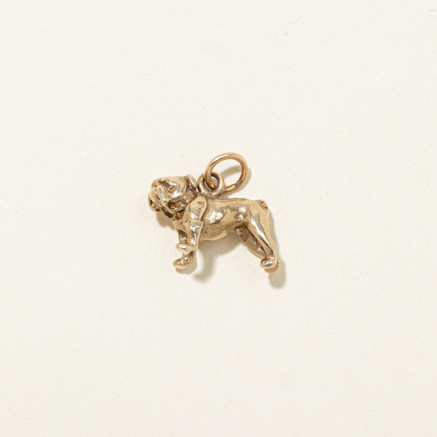 10K Bulldog Charm