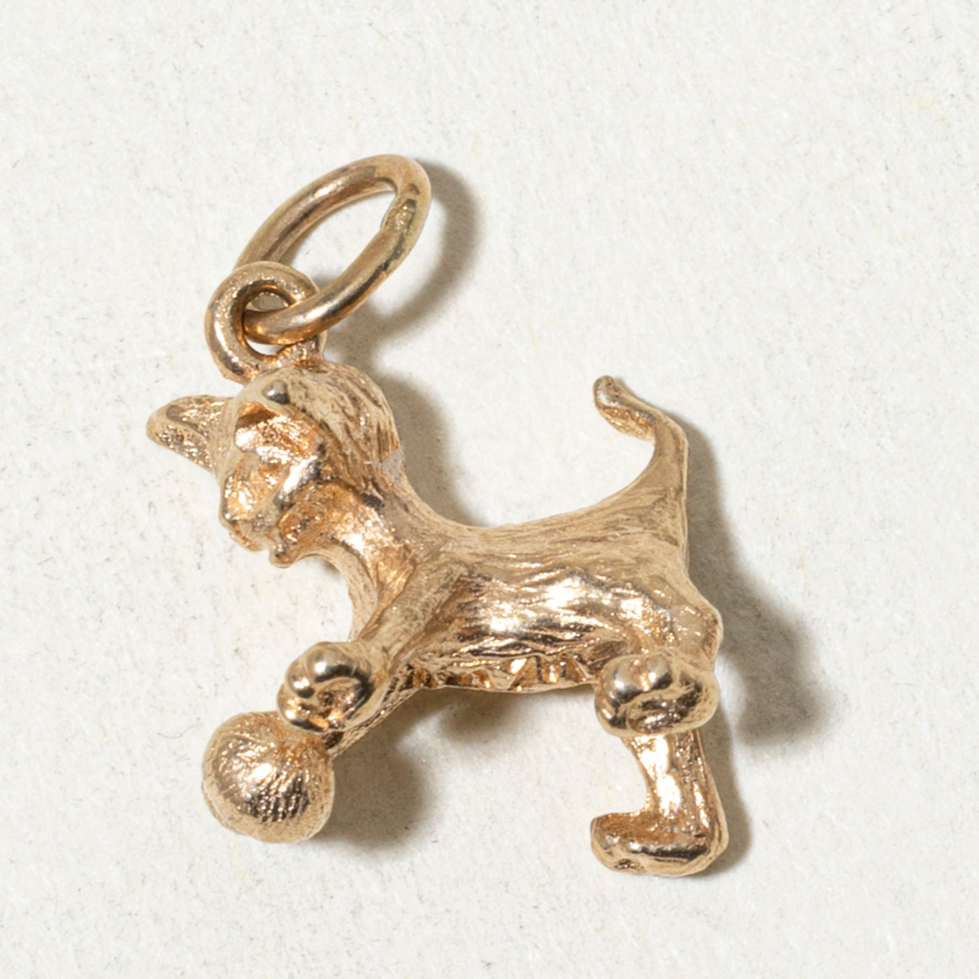 10k Cat Charm