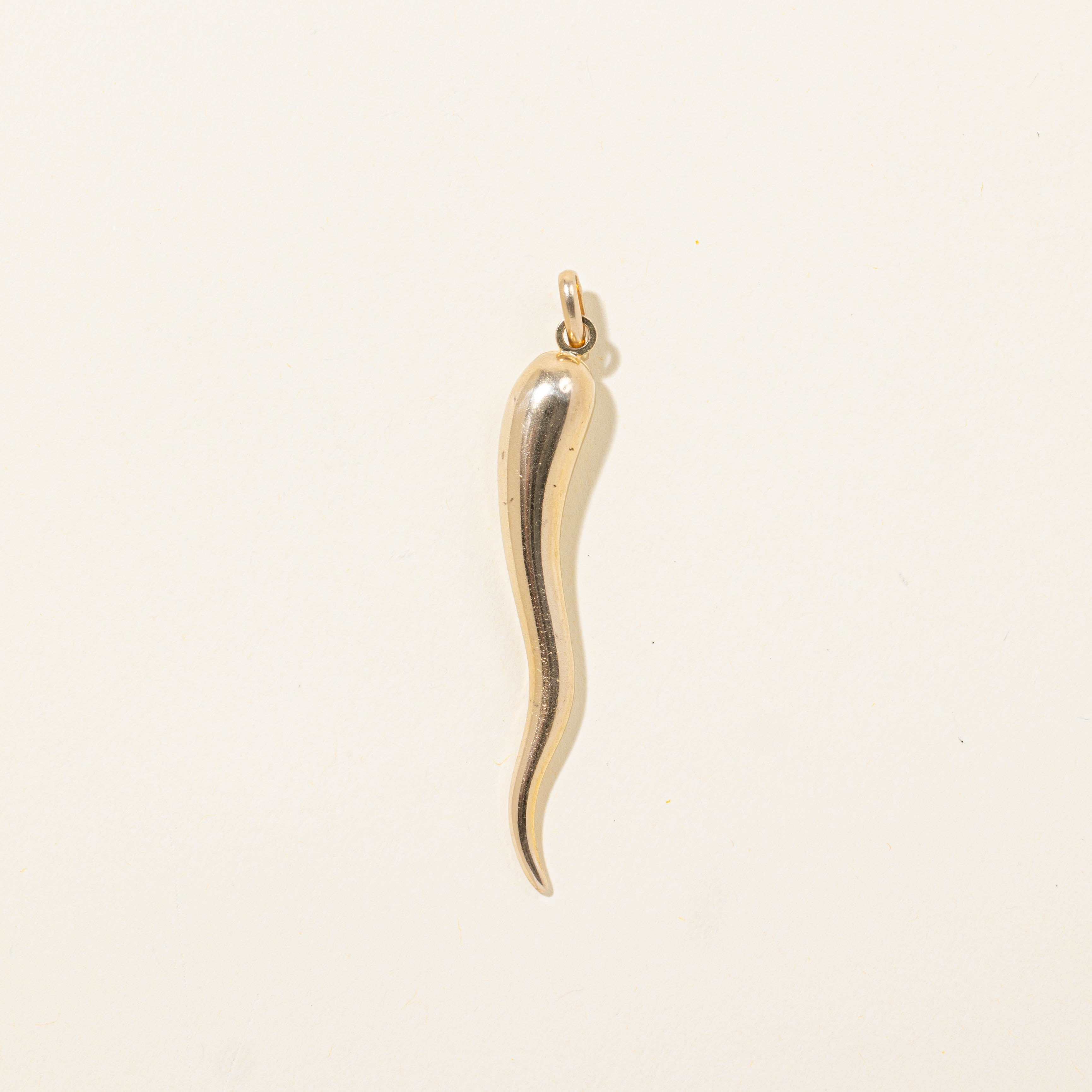 10k Cornicello Charm