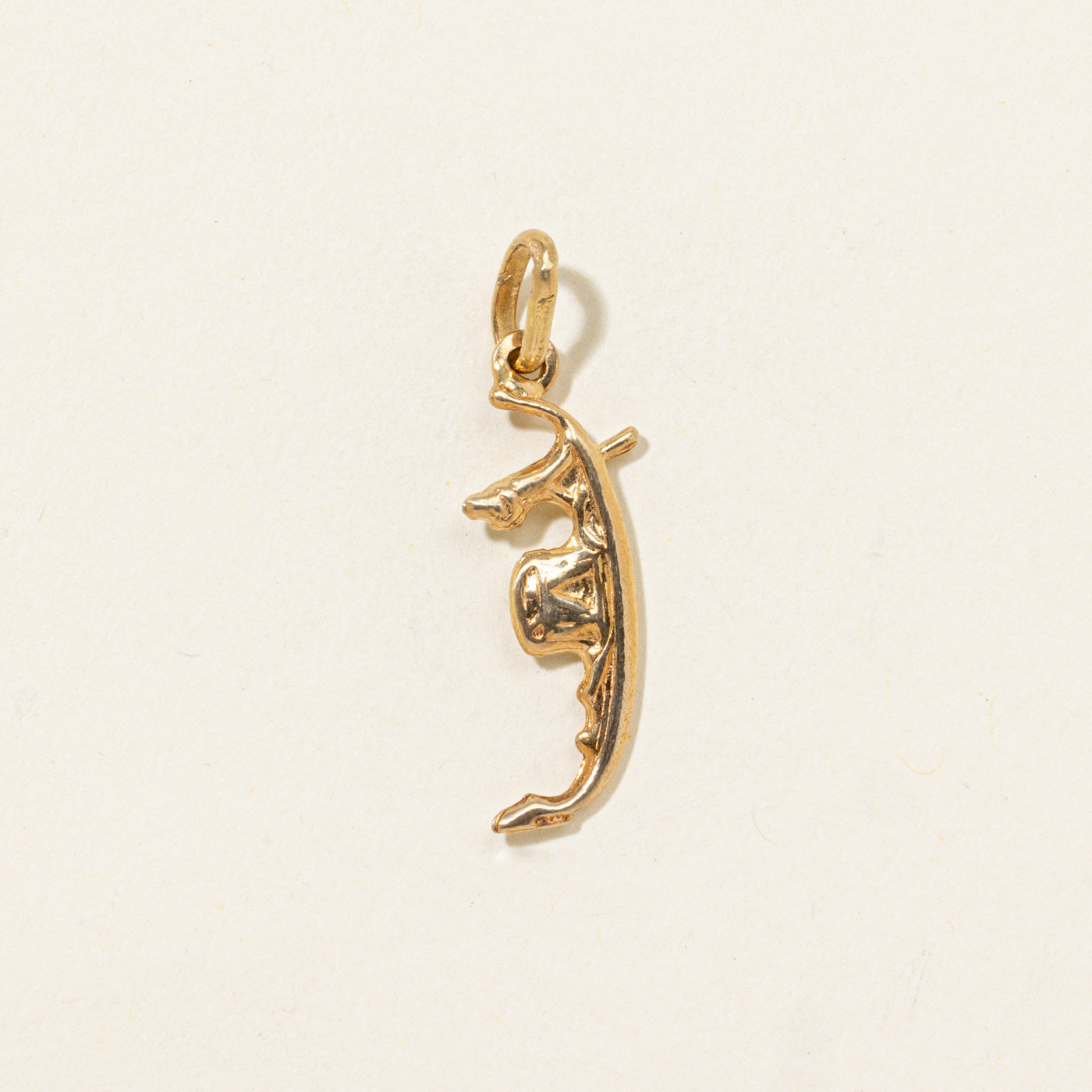 10k Gondola Charm