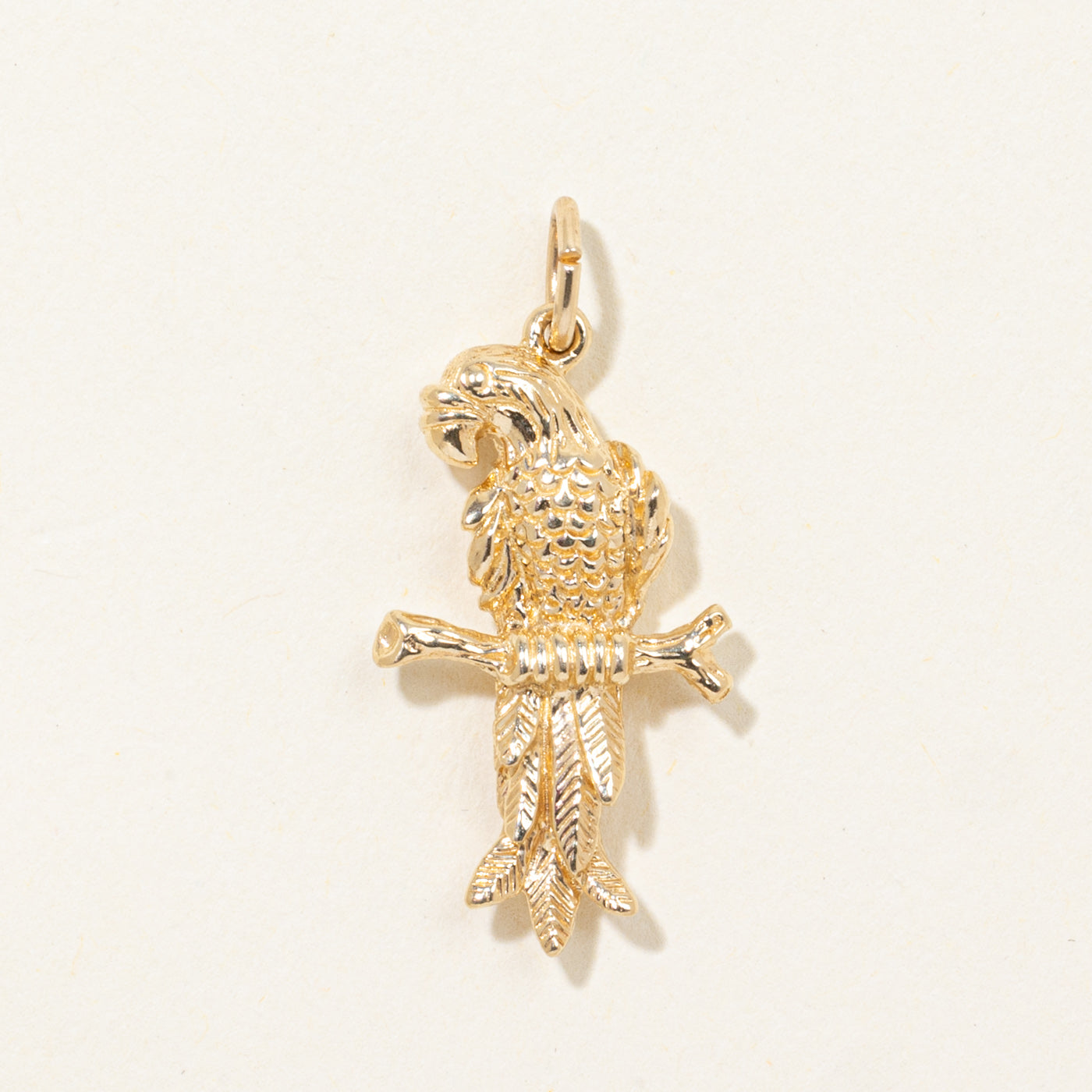 14k Textured Tropical Bird Charm