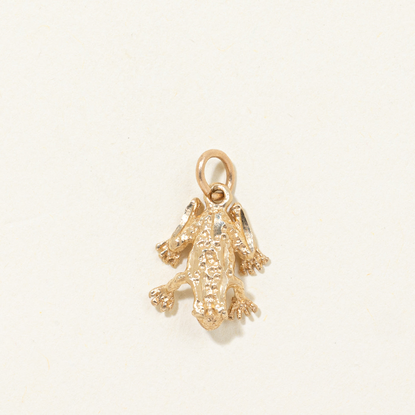 10k Textured Frog Charm