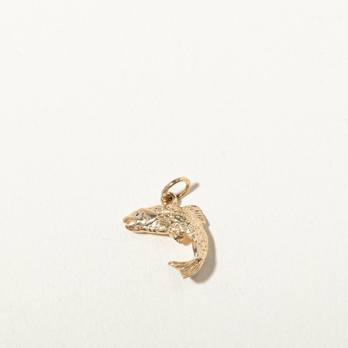10k Yellow Gold Textured Salmon Charm