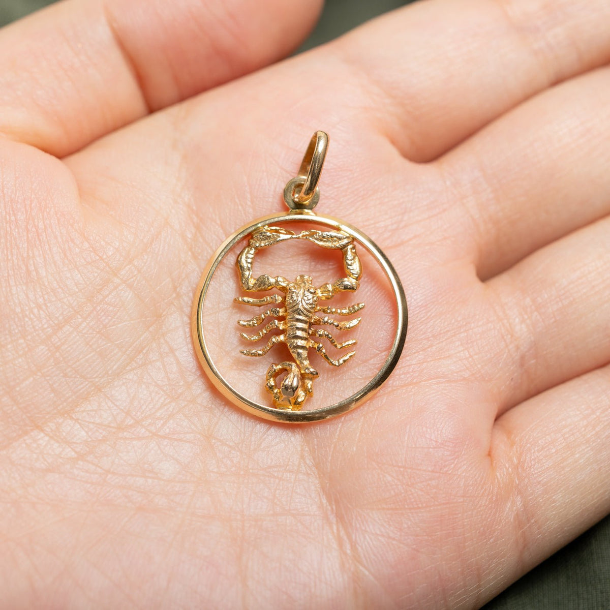 10k Yellow Gold Openwork Scorpio Zodiac Circle Pendant