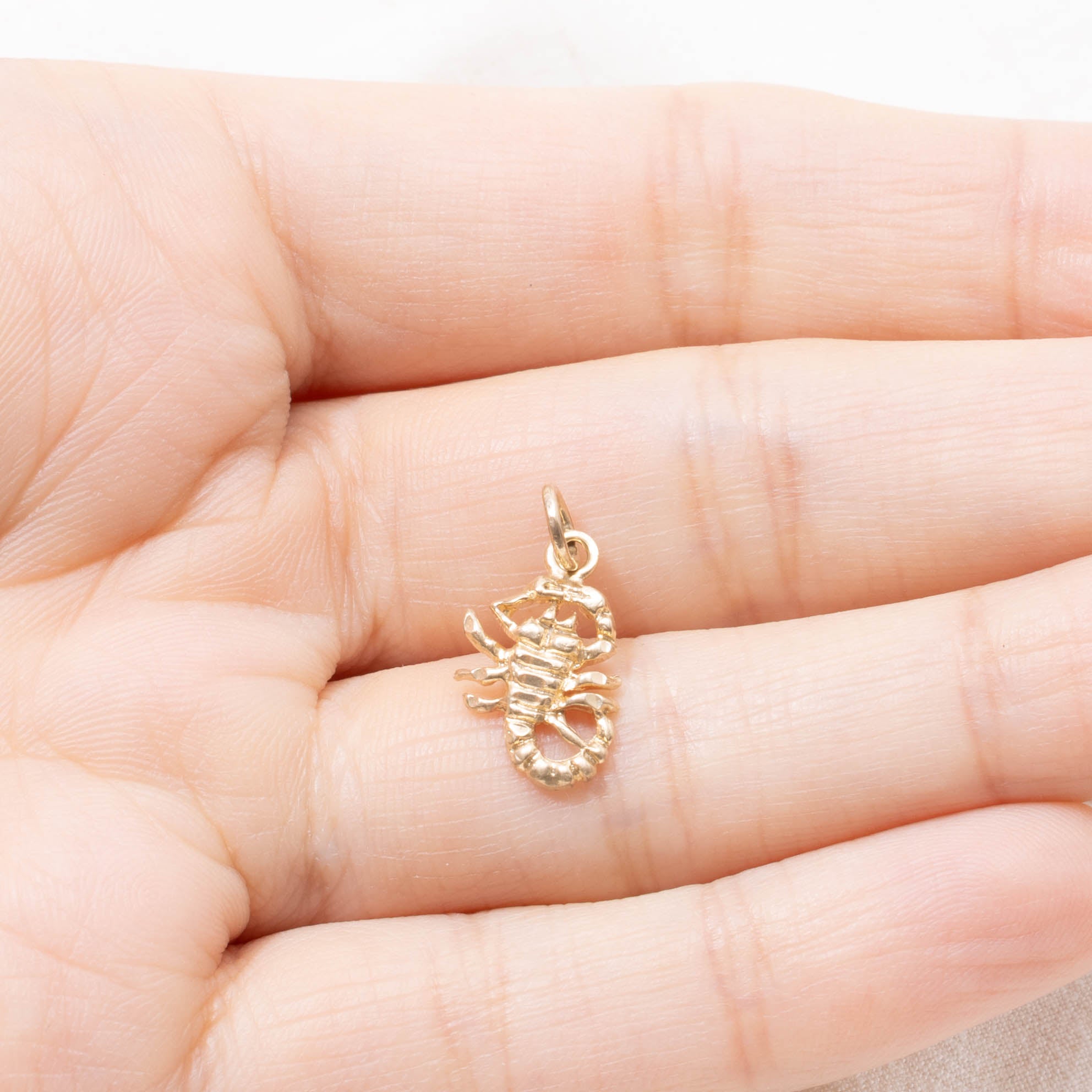 10k Scorpion Charm
