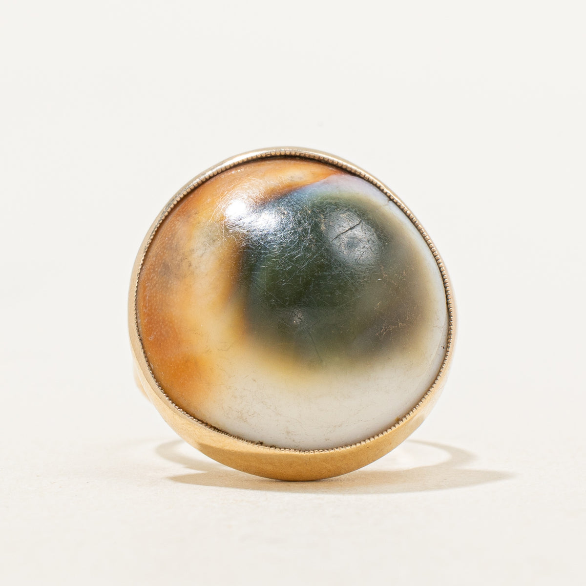 Operculum Shell Cocktail Ring | 14.00ct | SZ 4.25