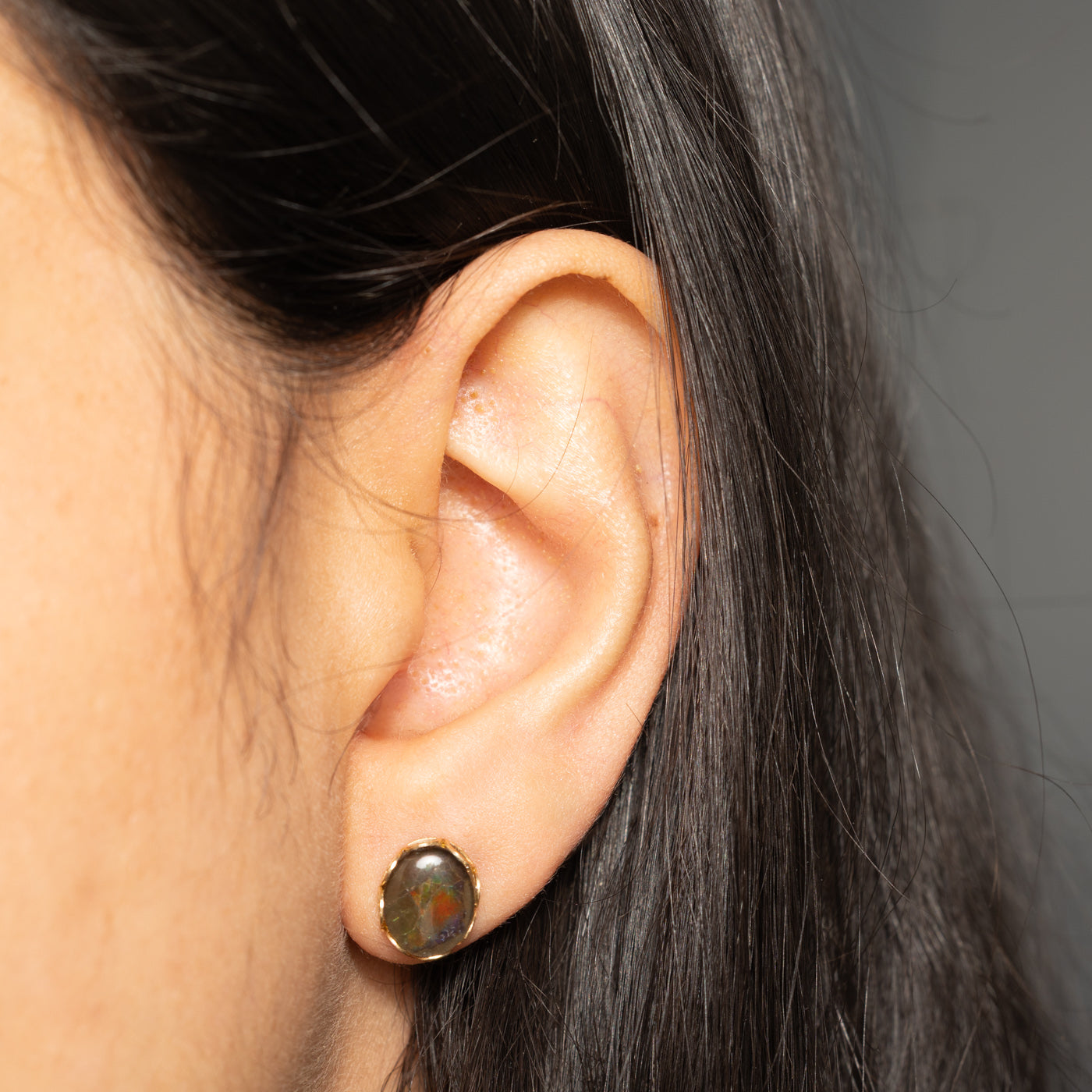 14k Ammolite Stud Earrings | 2.40ctw