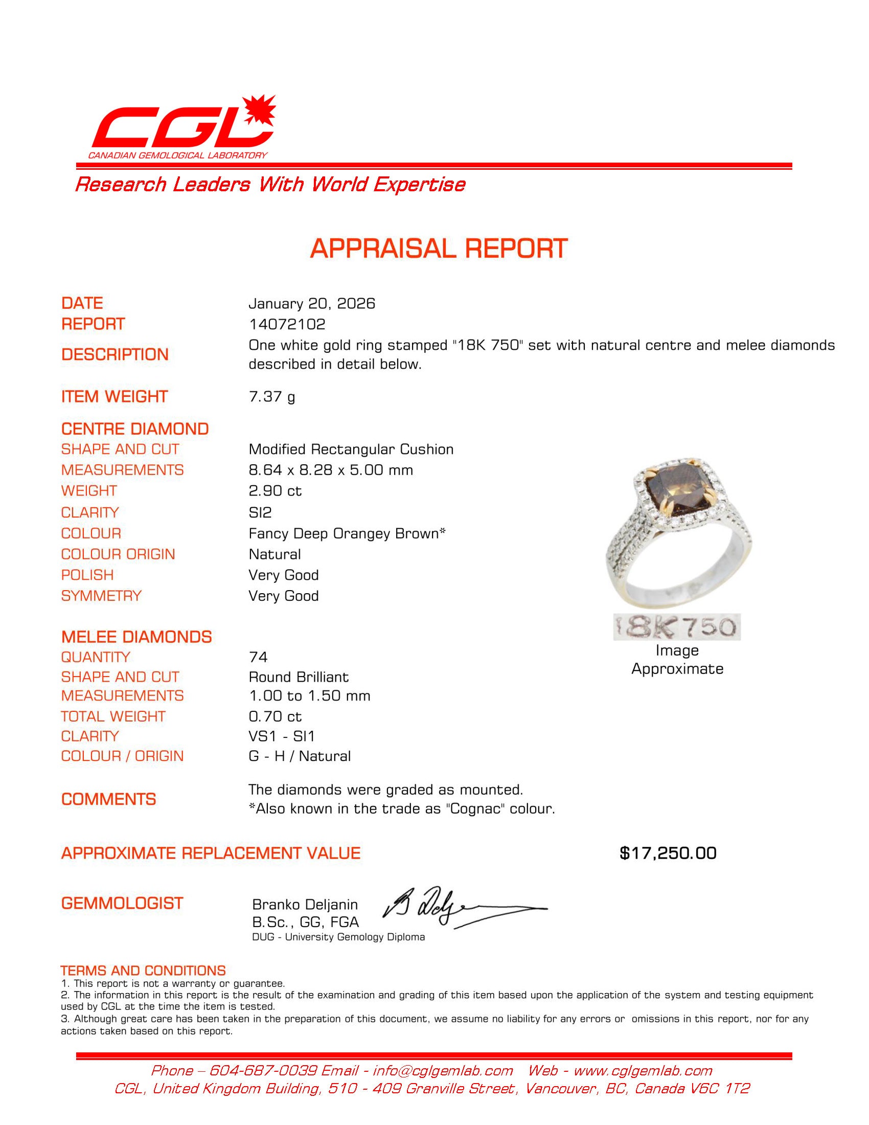 2.90ct Cushion Cut Natural Cognac Diamond Halo Ring | 2.90ct, 0.70ctw | Sz 8