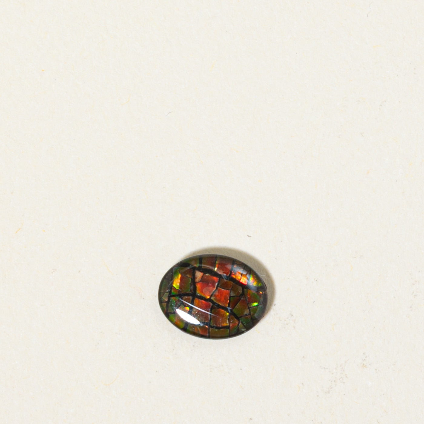 Loose Cabochon Cut Ammolite | 1.56ct