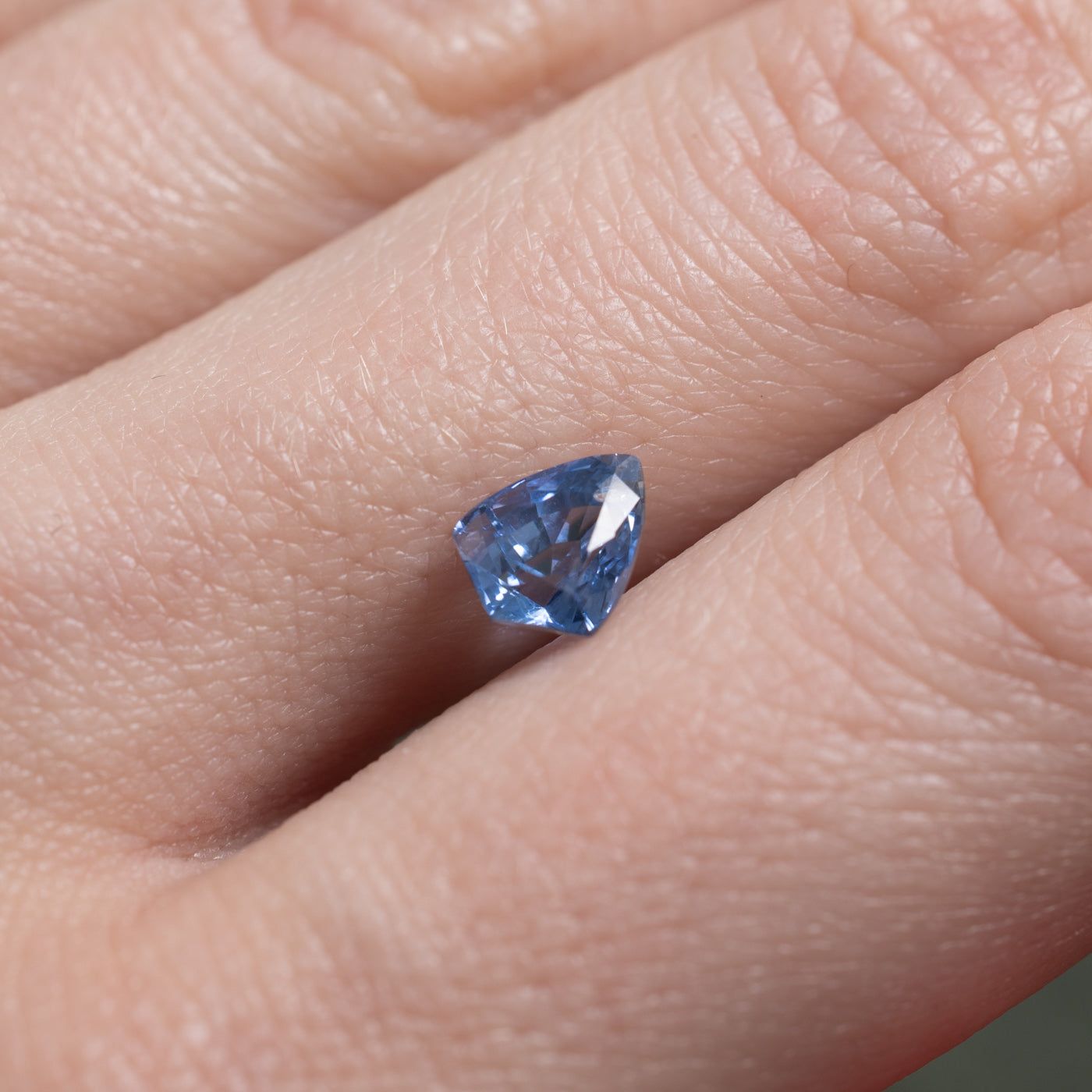 Shield Cut Loose Sapphire | 1.57ct