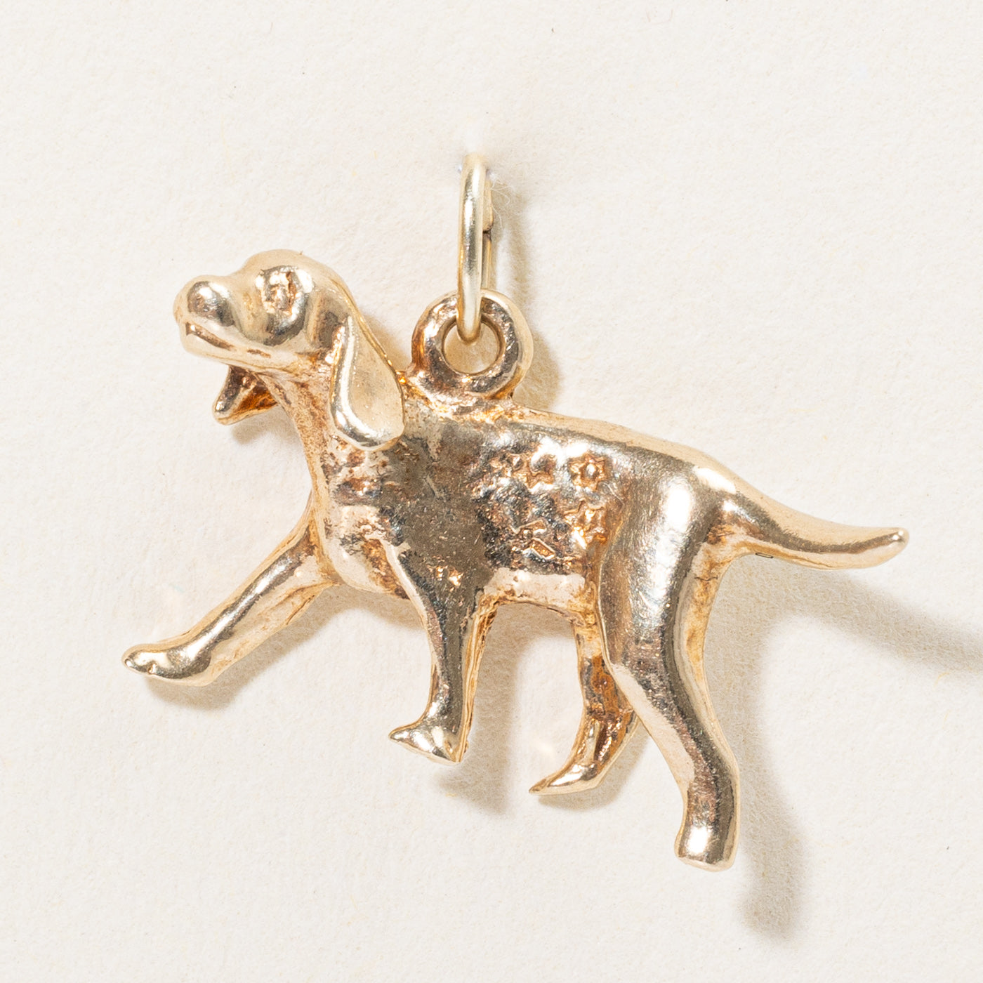 10k Yellow Gold Dog Charm