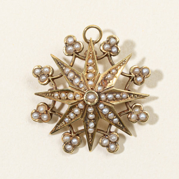 Seed Pearl Modified Brooch & Pendant