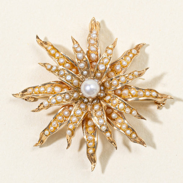 Seed Pearl Modified Brooch & Pendant