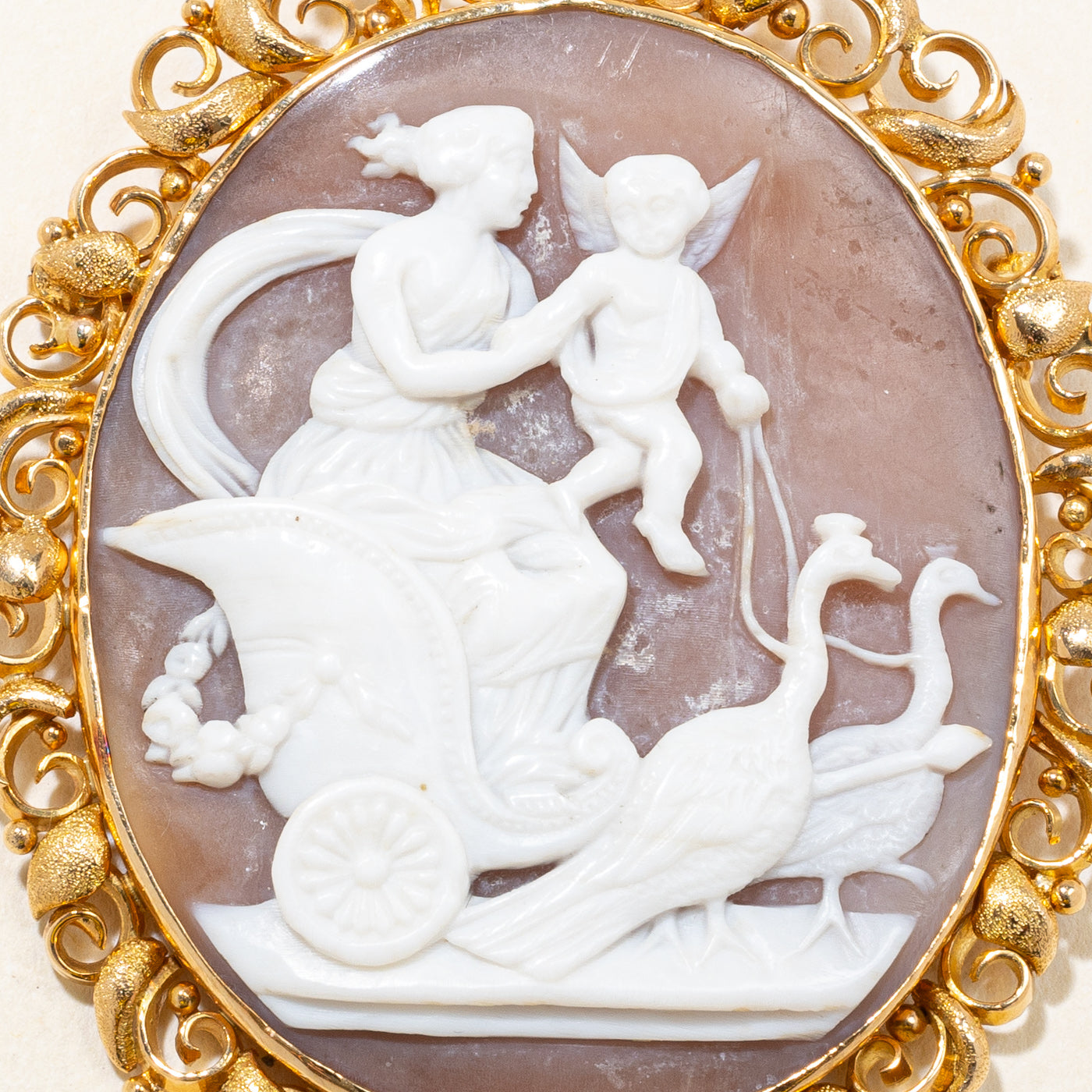 'Cavelti' Carved Shell Cameo Brooch & Pendant | 30.00ct |