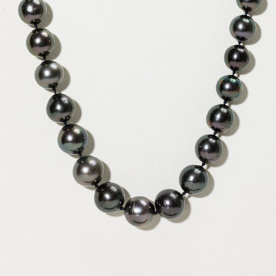 Black Pearl Strand Necklace | 18.5