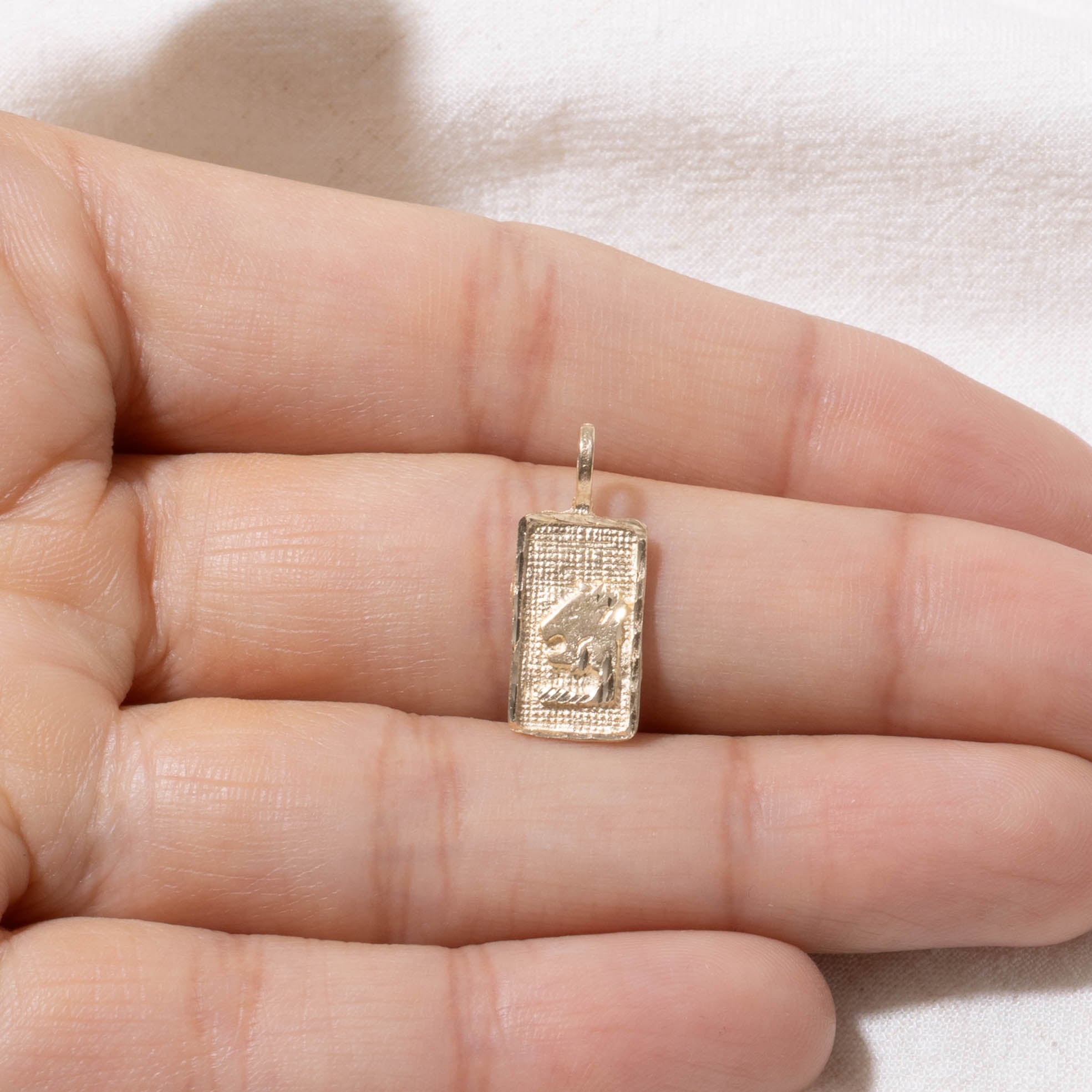 14k Leo Zodiac Charm
