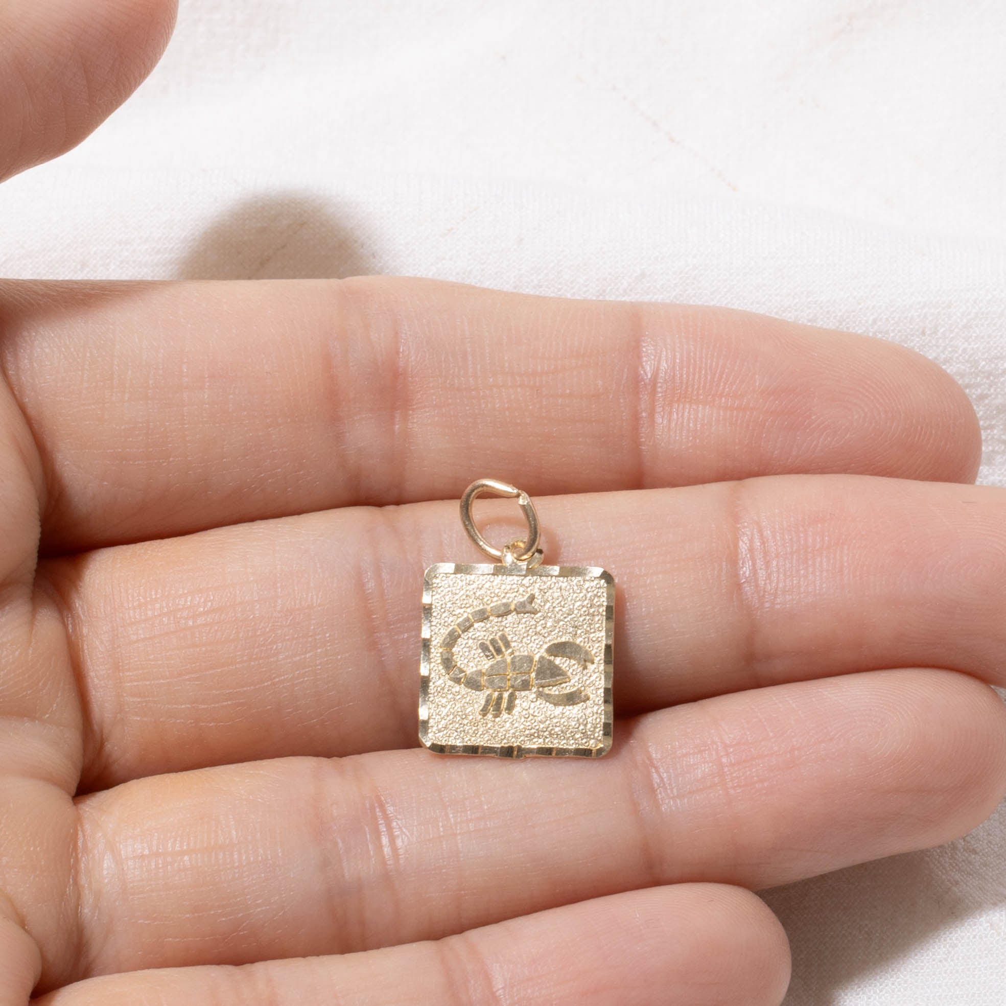 10k Scorpio Zodiac Charm