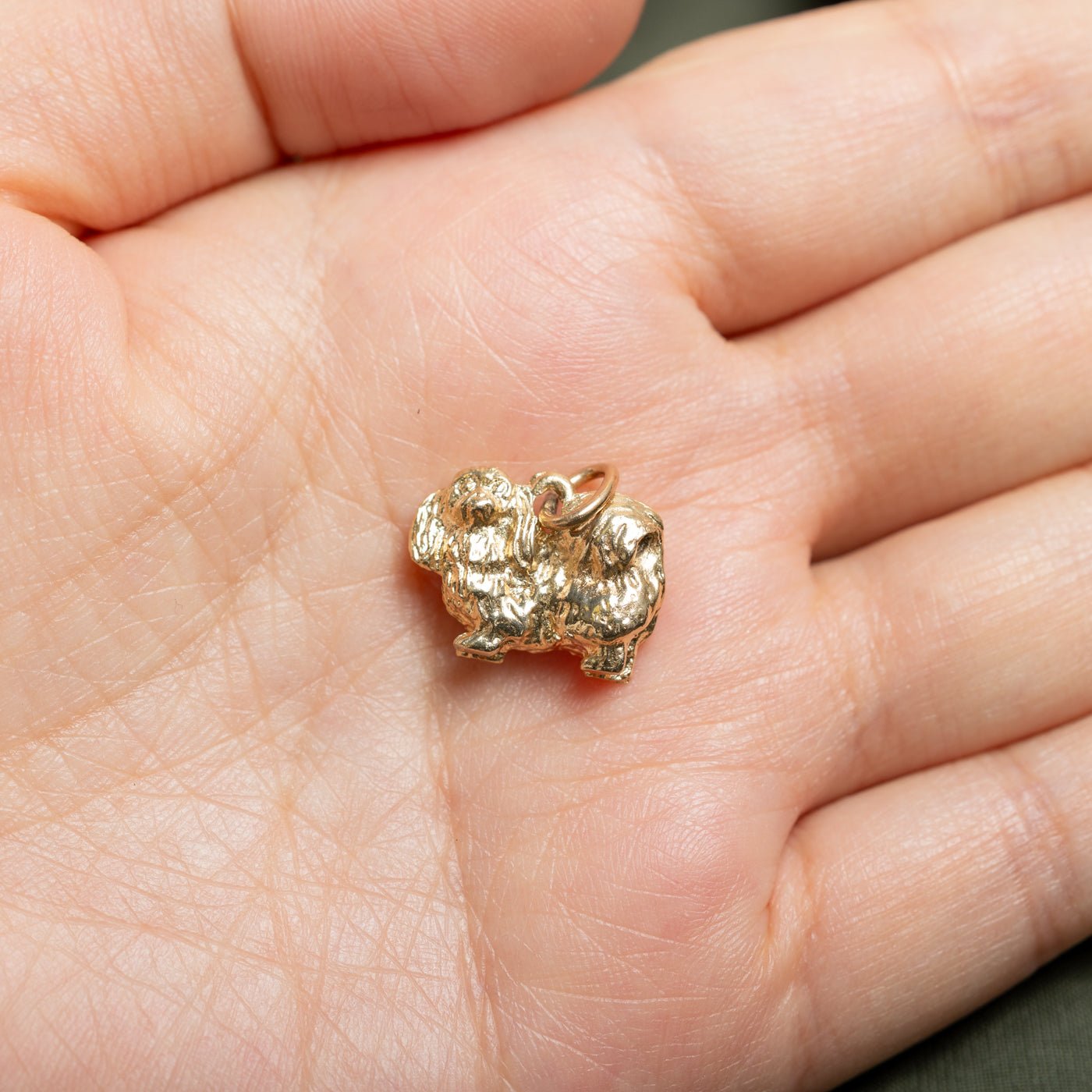 14k Yellow Gold Pekingese Dog Charm