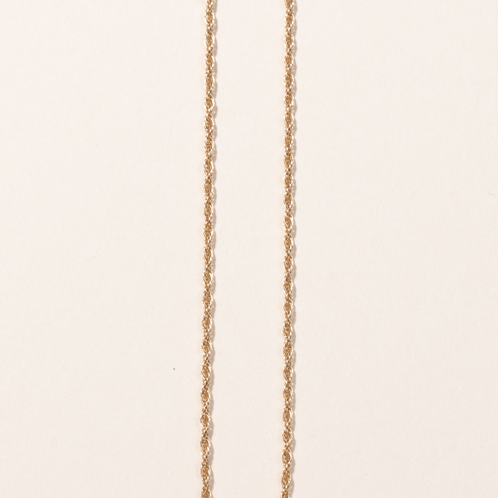 14k Yellow Gold Rope Chain | 22