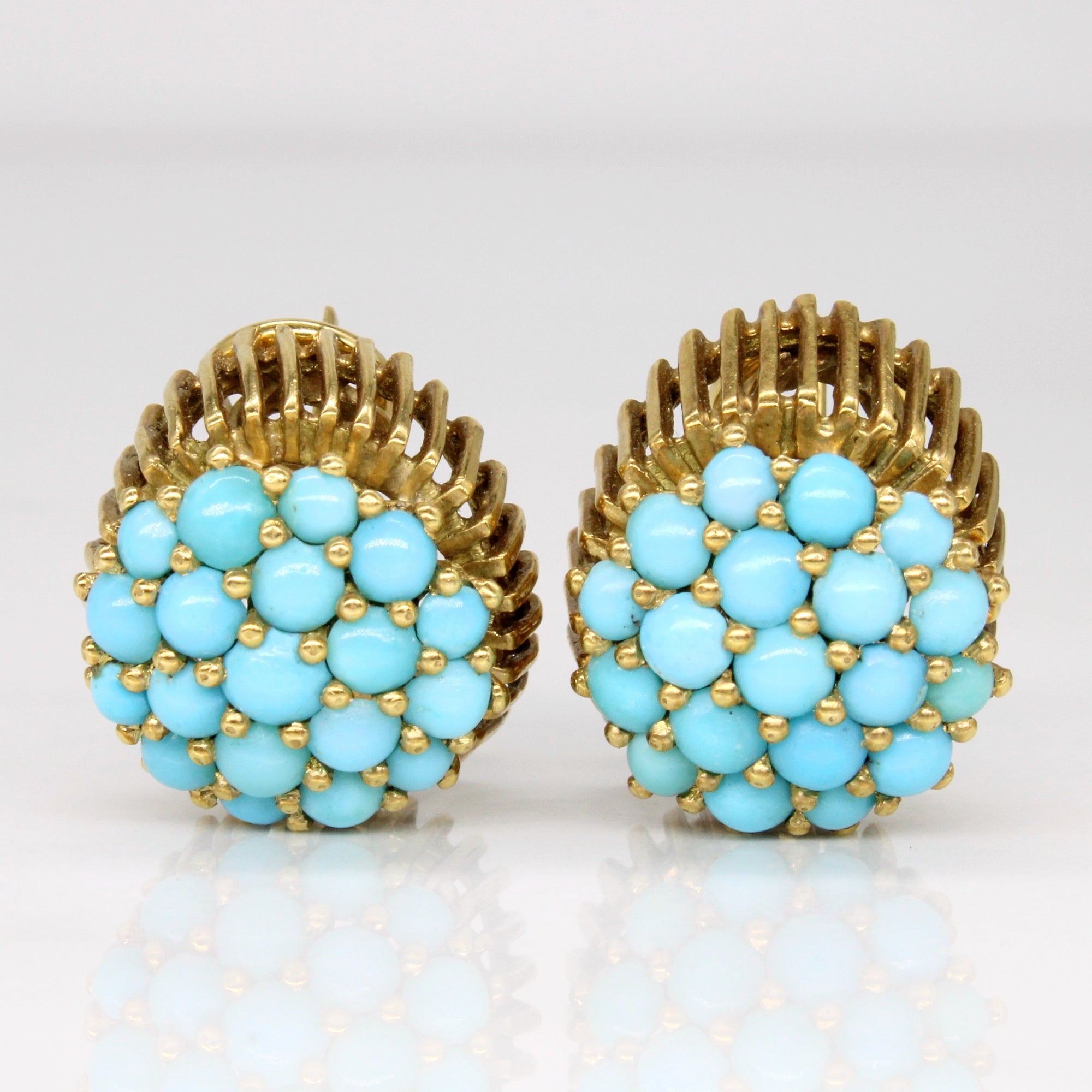 Turquoise Earrings | 3.88ctw |