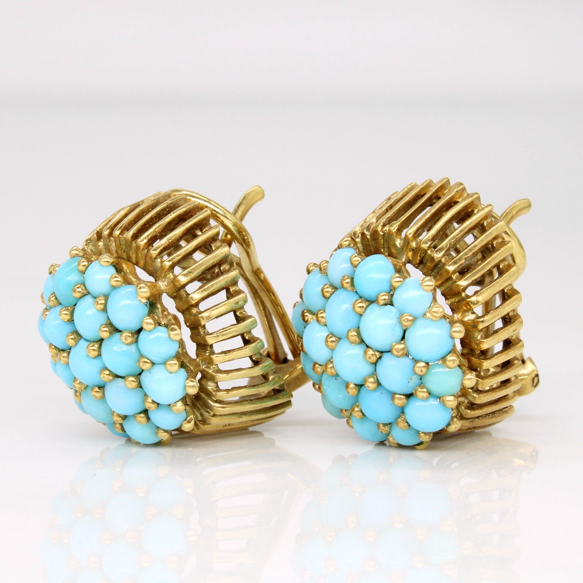 Turquoise Earrings | 3.88ctw |