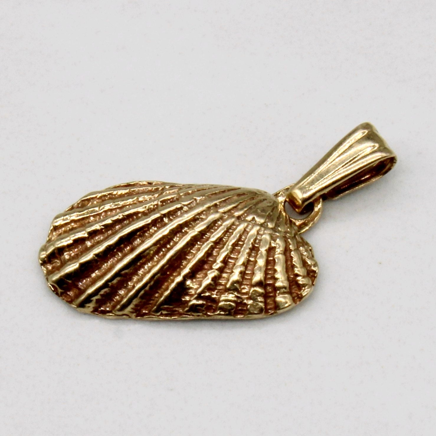 14k Yellow Gold Seashell Charm