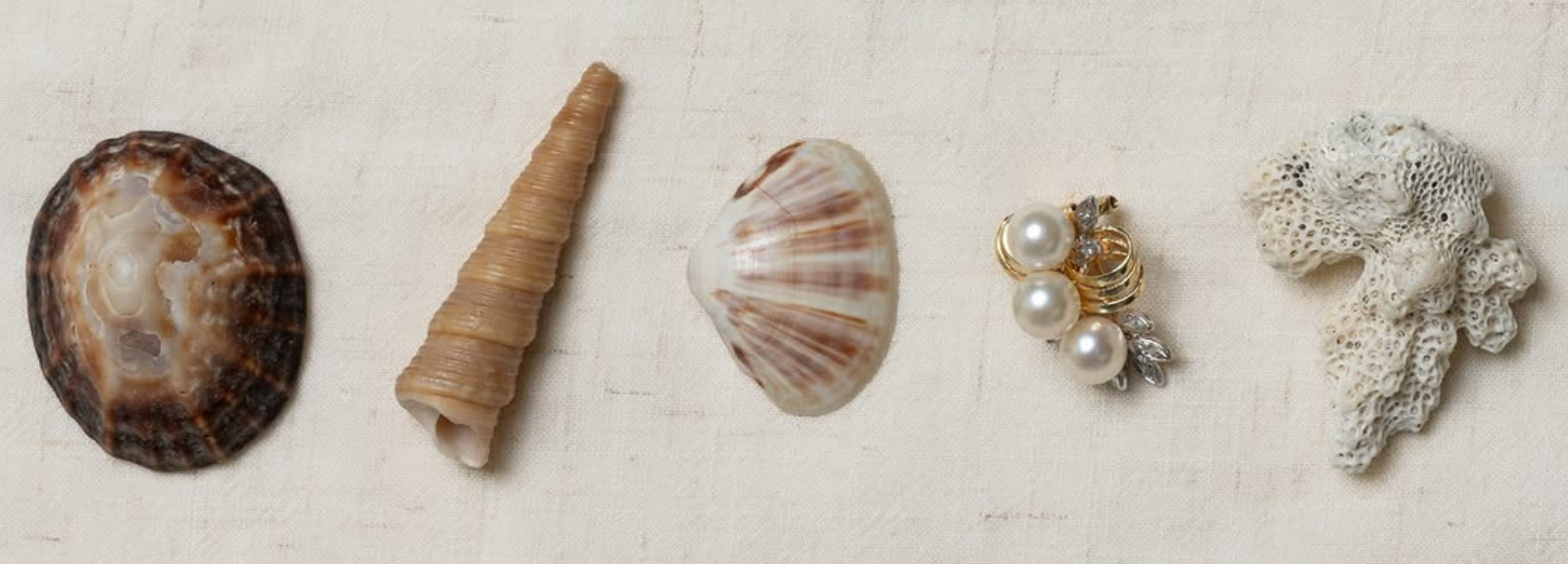 Collection of seashells and a vintage three pearl cocktail ring on a textured beige linen background
