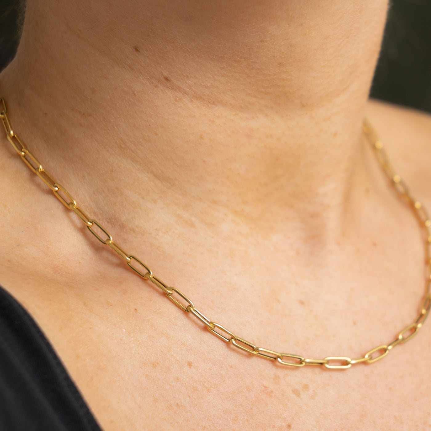 18k Yellow Gold Paperclip Chain |  3.65mm | 16.5"