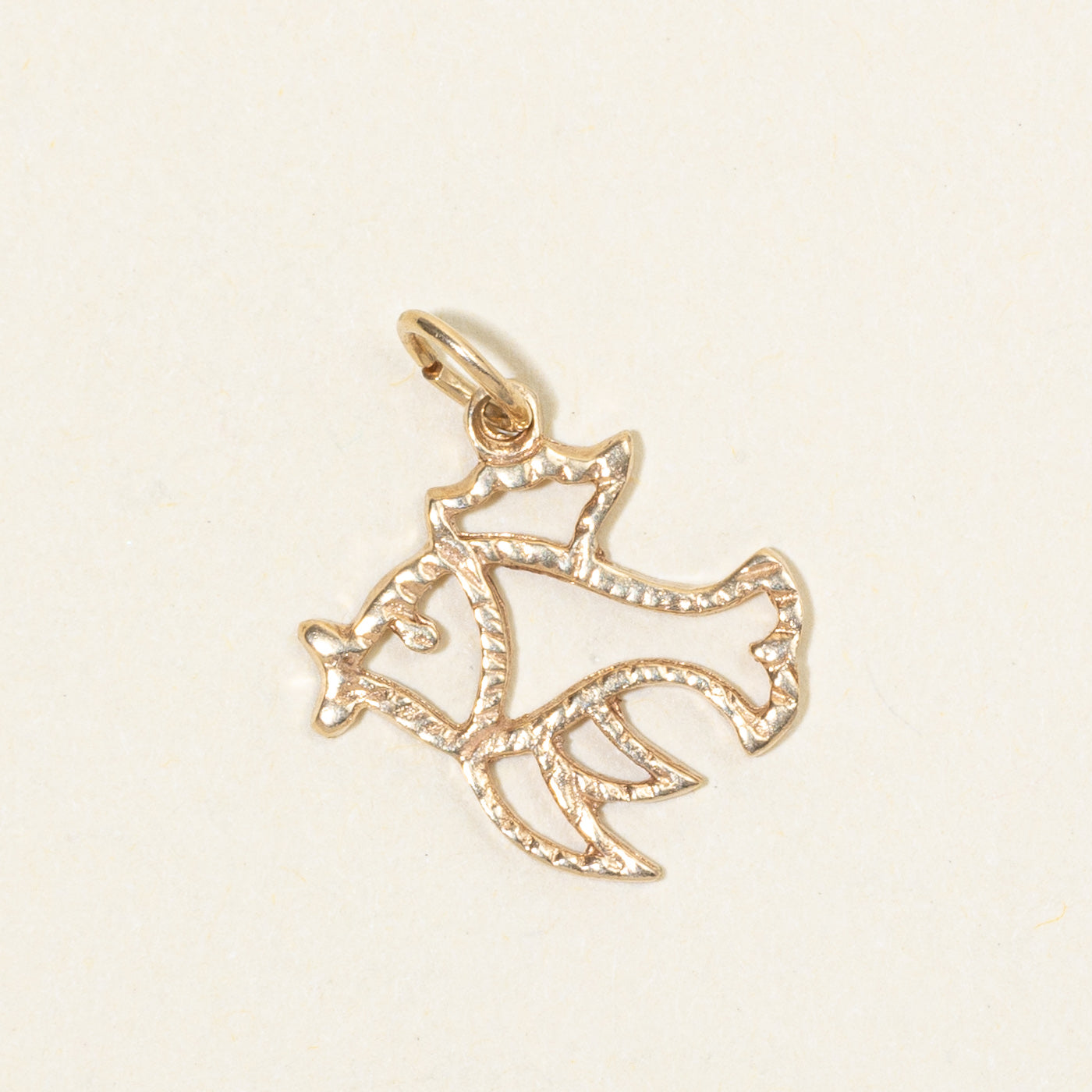 10k Yellow Gold Fish Charm