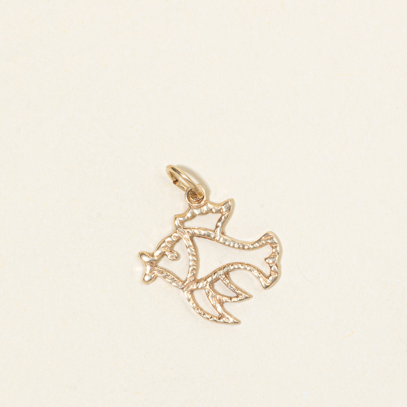 10k Yellow Gold Fish Charm
