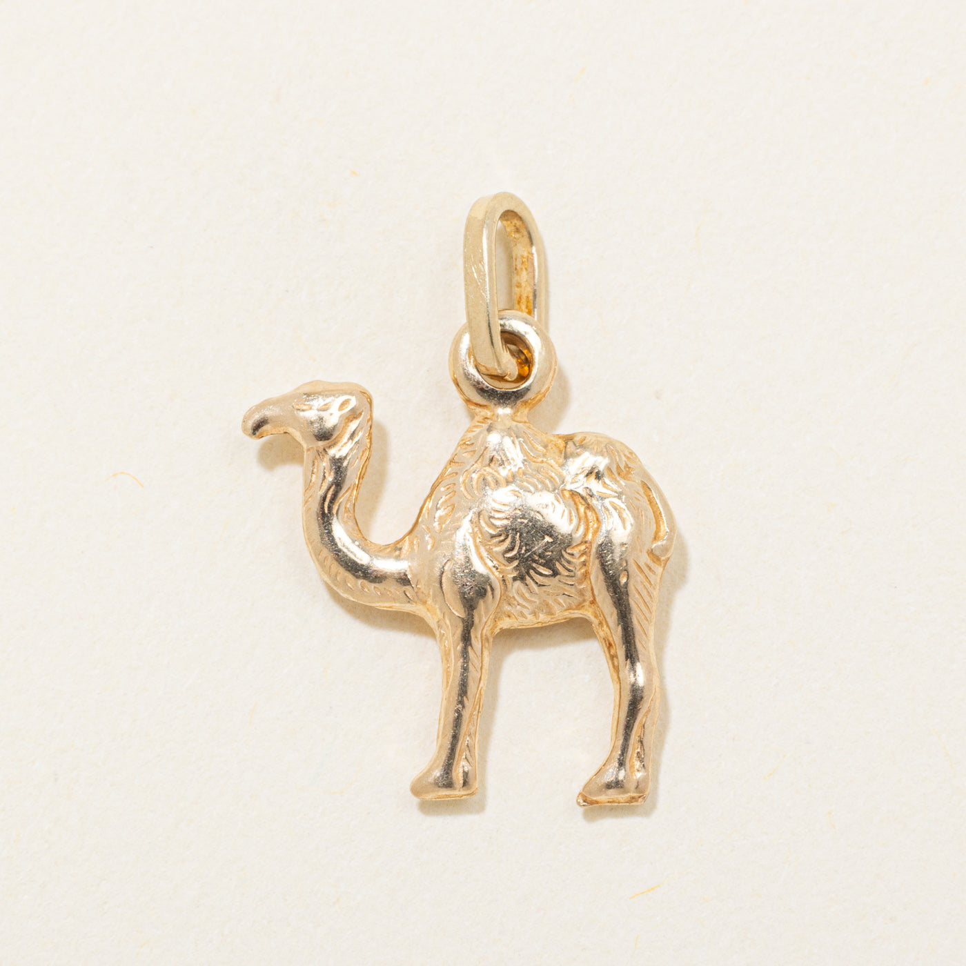 14k Yellow Gold Textured Camel Charm