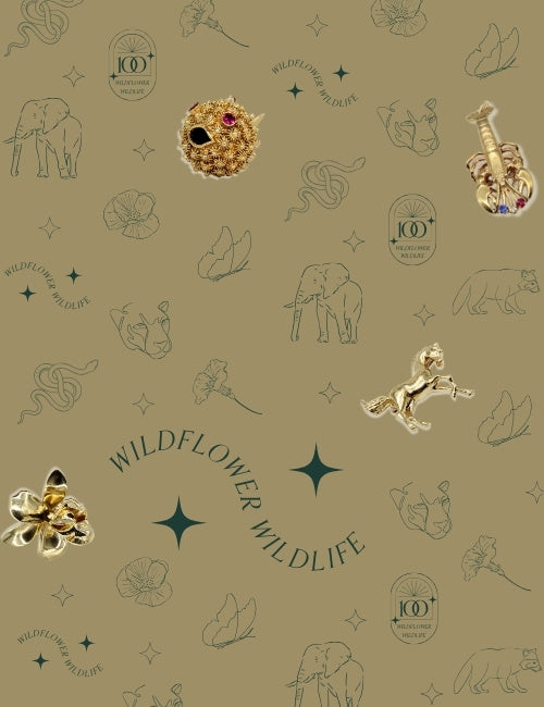 Monoline nature inspired artwork as wallpaper, with assortment of nature inspired jewelry over top. Text over image: Wildflower Wildlife 100 Ways