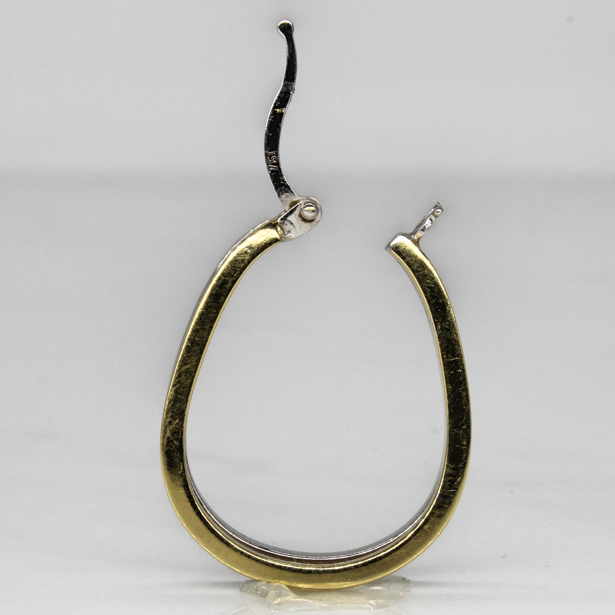 Two Tone Gold Hoop Earrings |