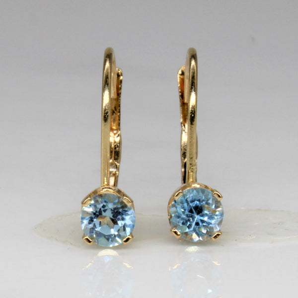 Blue Topaz Earrings | 0.50ctw |