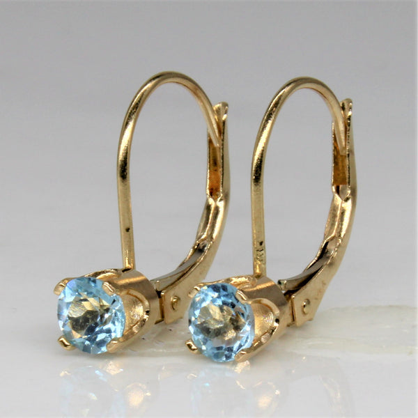 Blue Topaz Earrings | 0.50ctw |