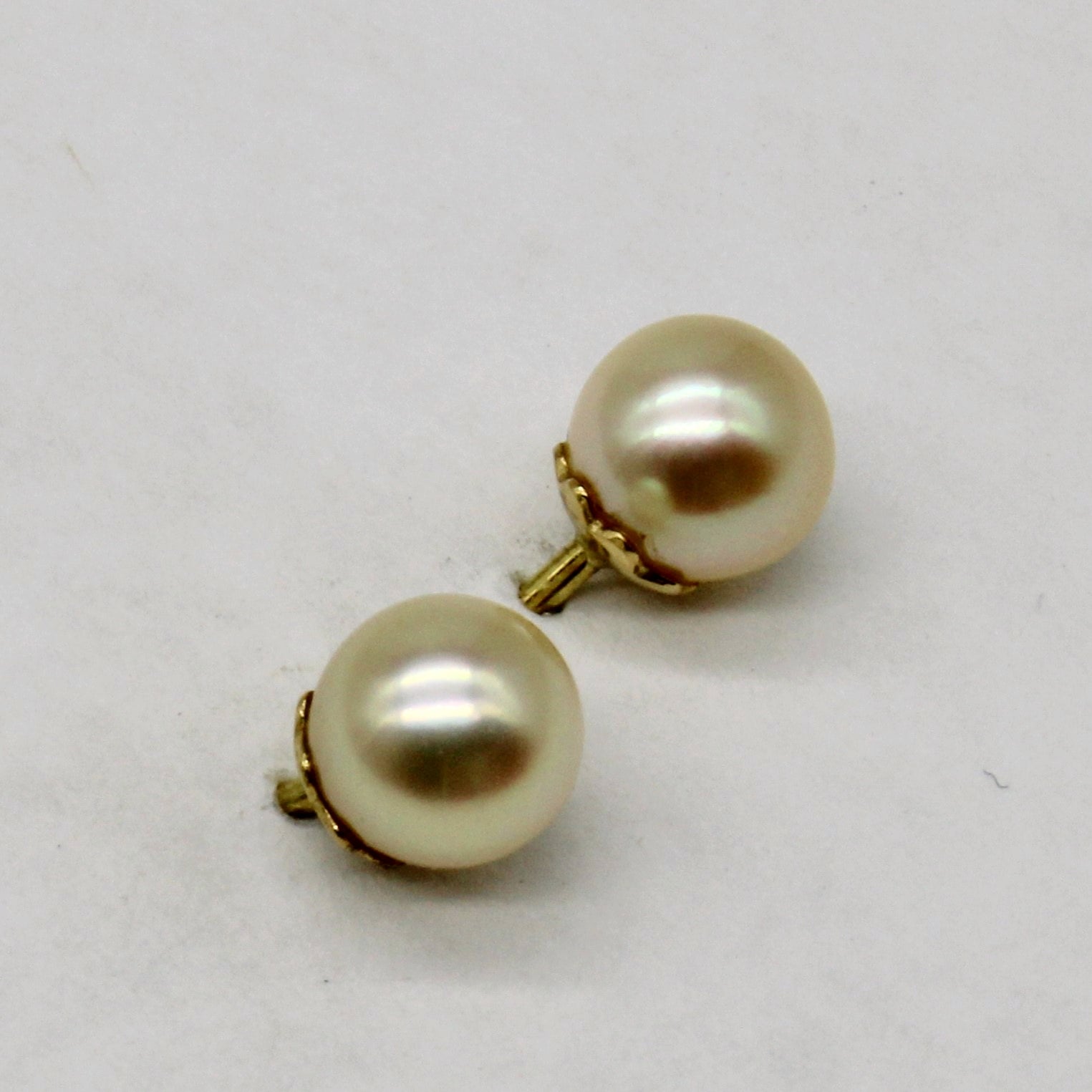 Pearl Stud Earrings |