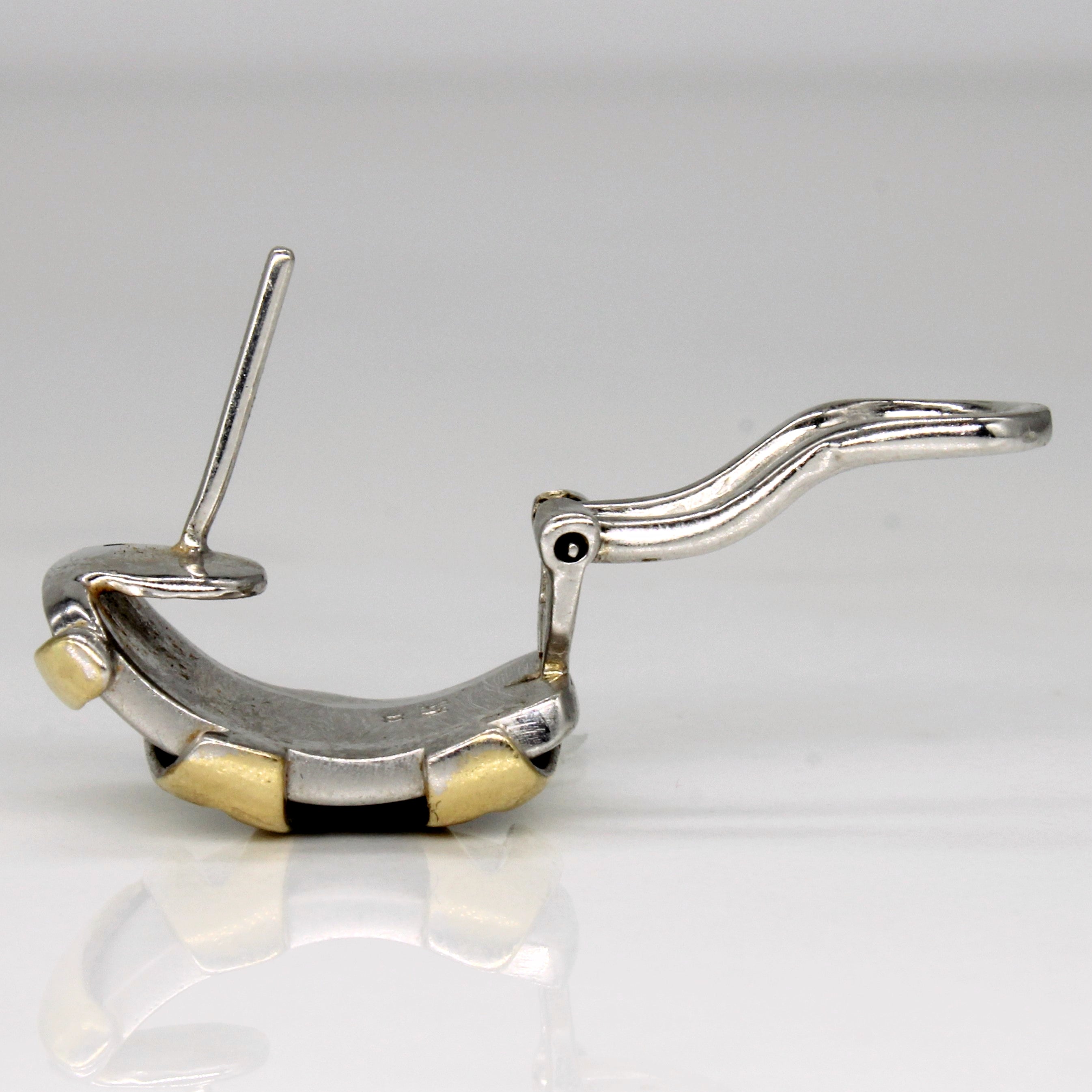 Two Tone Gold Omega Back Earrings |